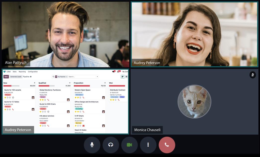 Videoconferenze